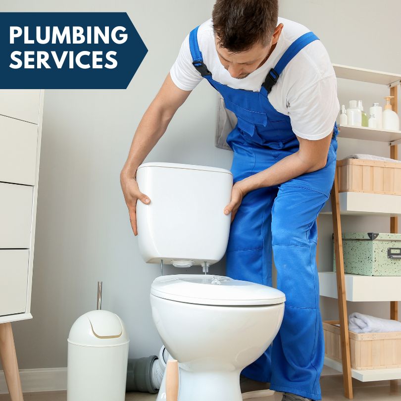 Plumbing Company in Inlet Beach, FL